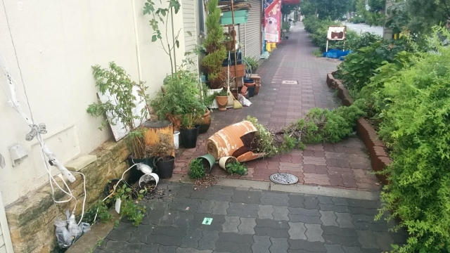 台風通過後の家の被害